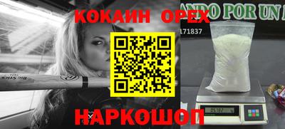 стаф Будённовск