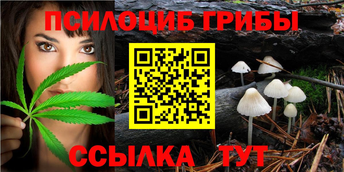 Псилоцибиновые грибы мухоморы Коркино